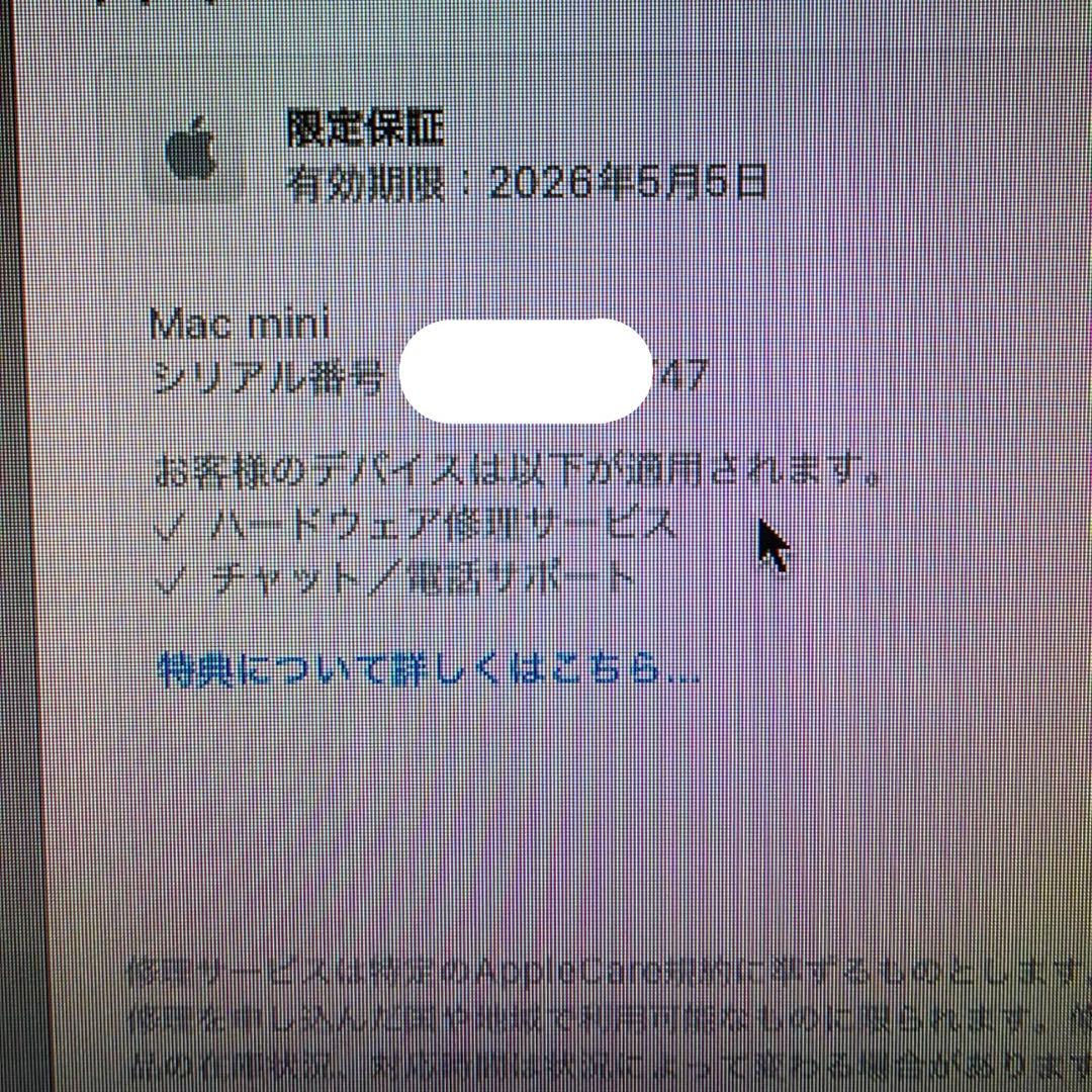 Mac mini M4 16GB / 256GB 美品 箱付き 残り保証有り