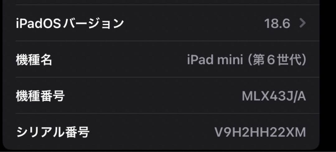 Apple ipad mini 6 64GB Cellular 美品 ピンク