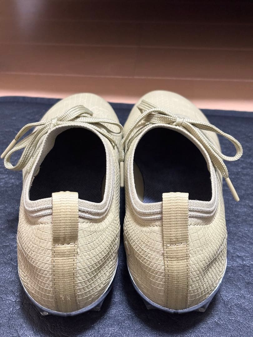 Stone  × New Balance Furon v8