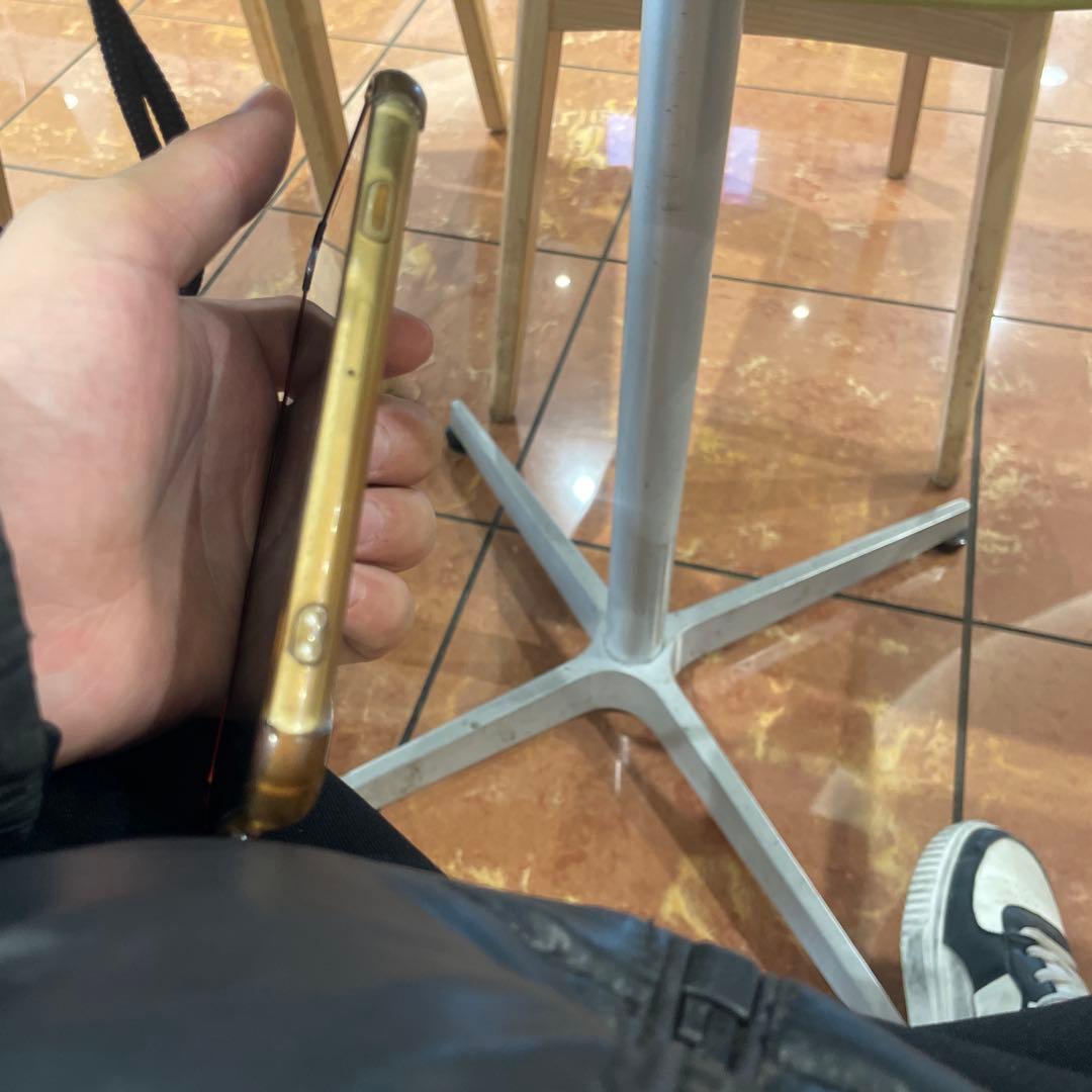 Apple iPhone SE本体