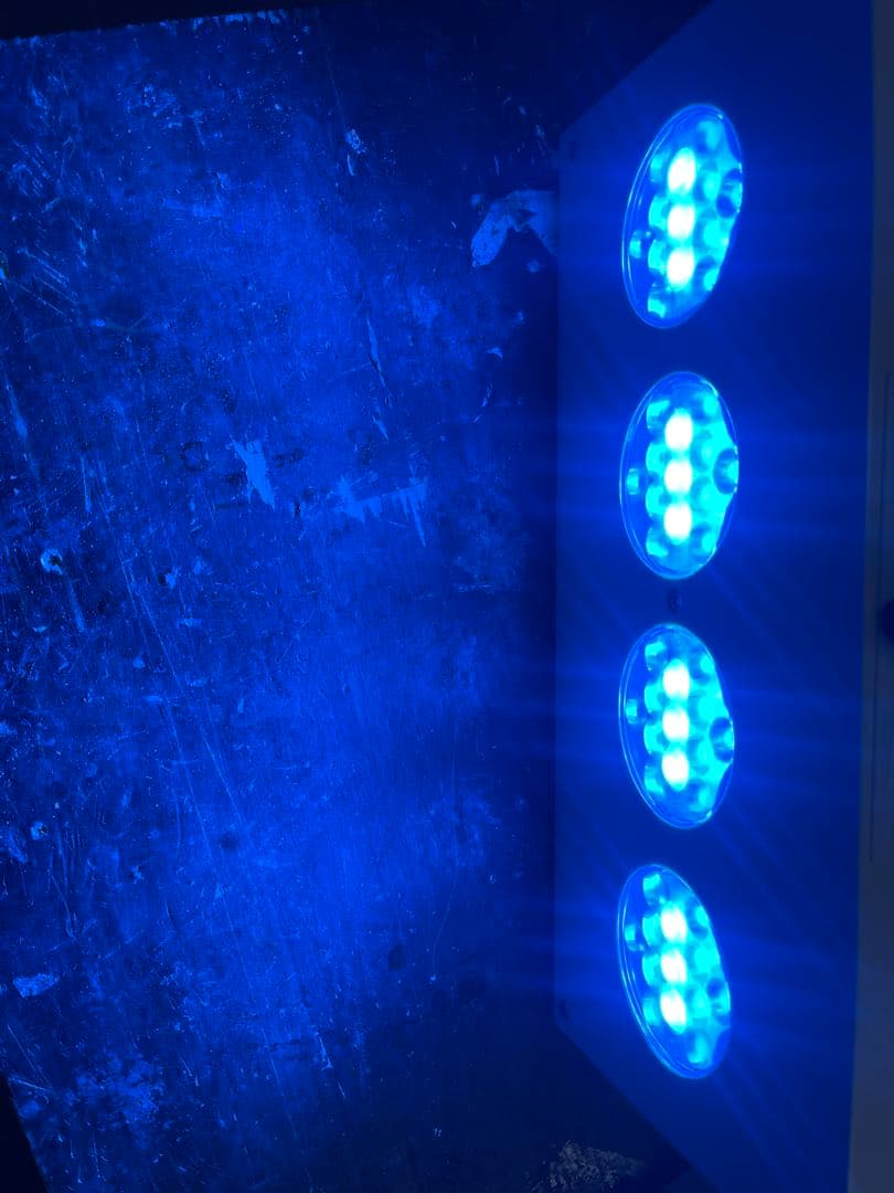 海水魚用品 AI HYDRA HD 52