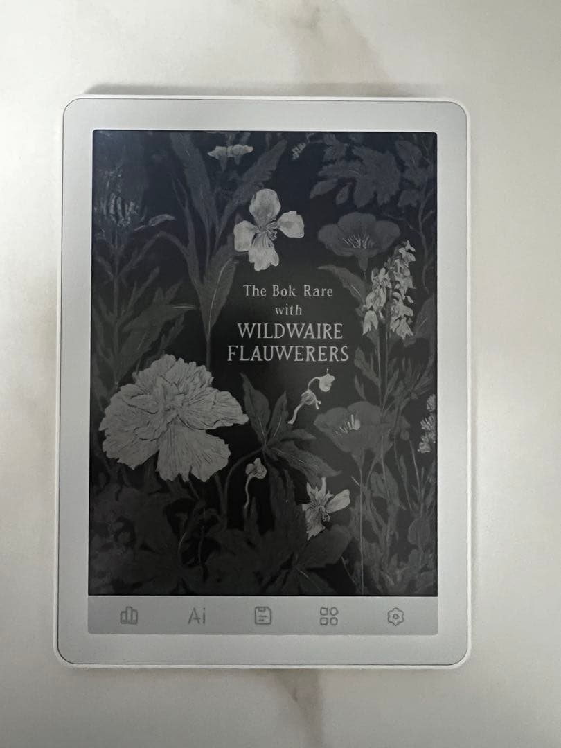 Bigme B6 カラー電子書籍リーダー 6インチ