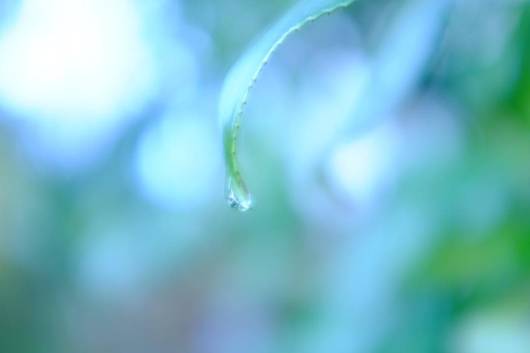 FUJIFILM X100s （液晶割れ）