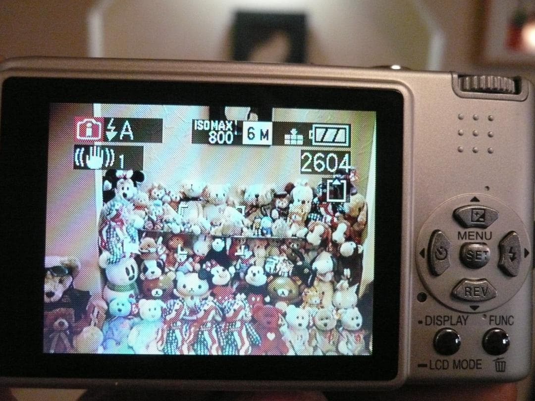 LUMIX★DMC-FS1⭐️美品⭕️箱入完品❤️安心の実働品