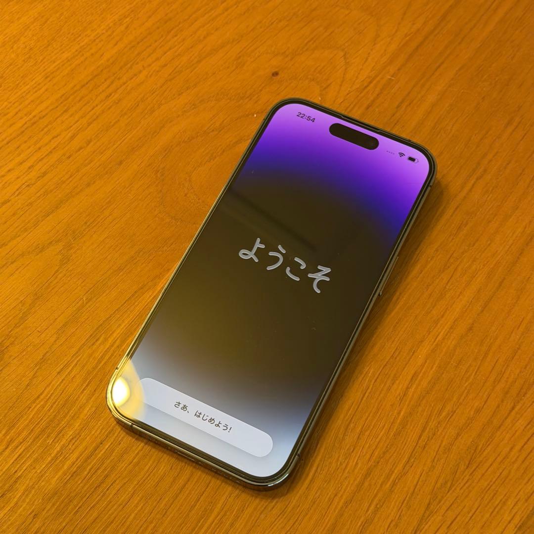 【シャッター音なし】iPhone 14 Pro 256GB 【海外版】【おまけ】