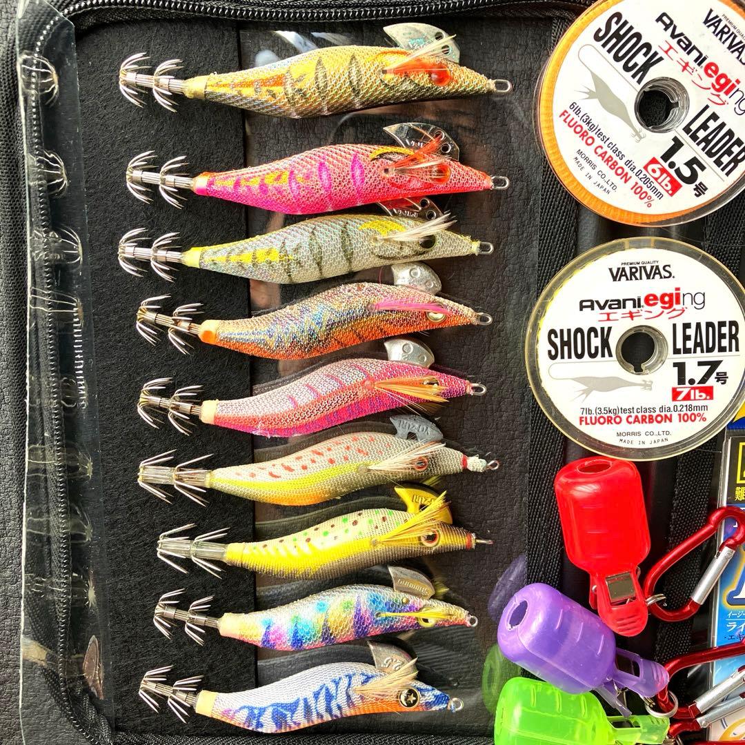 秋イカ　エギングセット　2.5号メーカーエギ、ケース、リーダー、スナップ、カバー