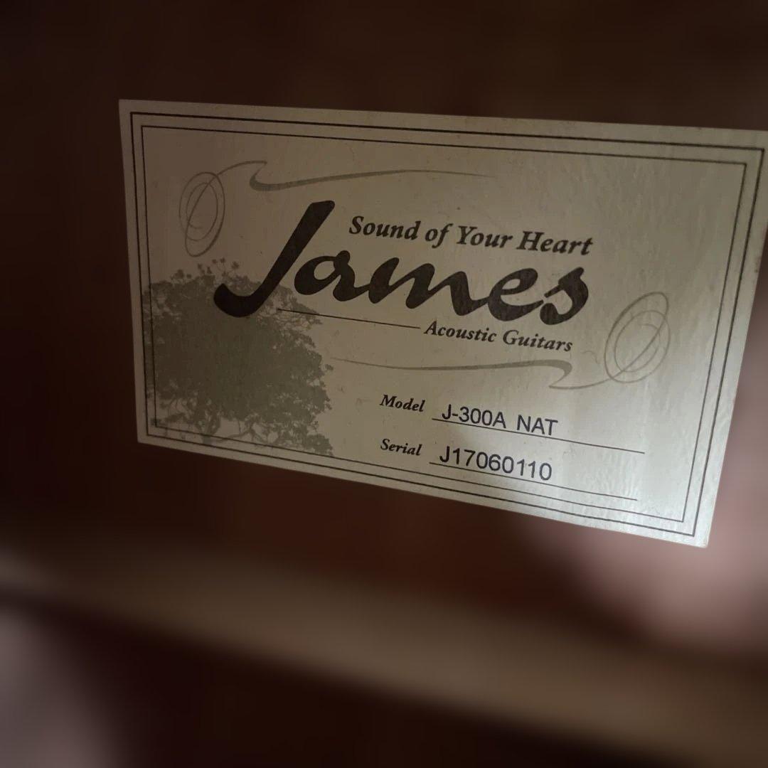 James J-300A NAT アコースティックギター