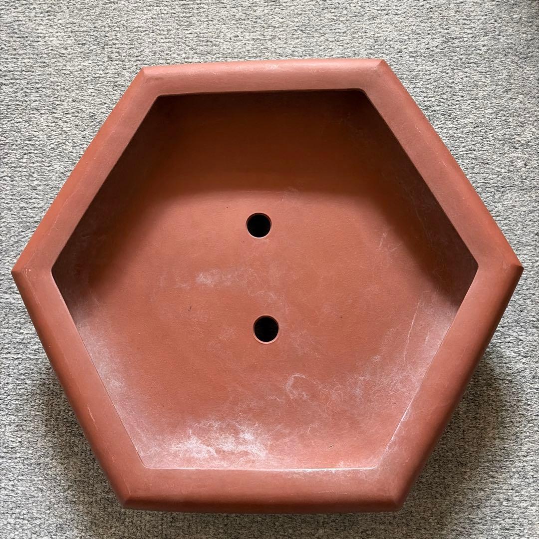 植木鉢　鉢　六角　盆栽　盆景