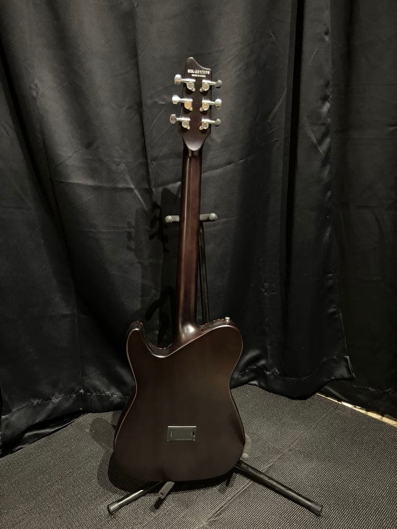 SCHECTER OL-FL ダークブラウン　プリアンプ付き