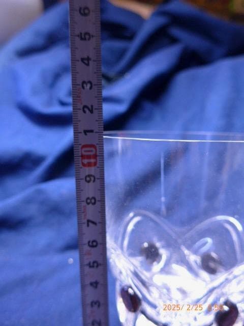 素敵なLALIQUE ラリック　フロリダ　ロックグラス　タンブラーです