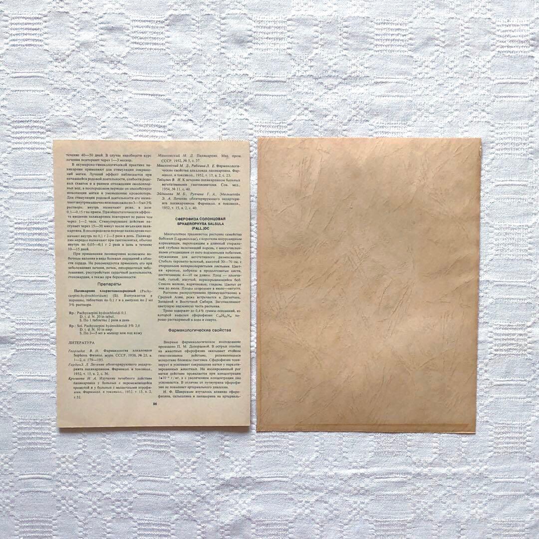 RV82 真鍮フォトフレーム24.5×18.5 北欧ヴィンテージ