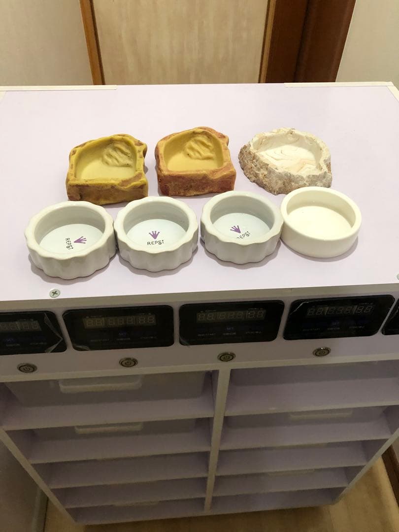 温室・ショーケース 10個収納 デジタル温度計付き