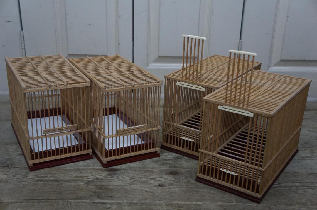 品評会用 桐箱付き 4点 30㎝ 竹籠 メジロ 鳥 鳥かご 状態良好 鑑賞籠 篭
