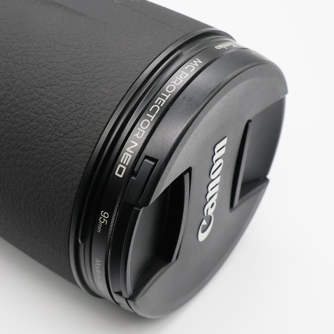 超望遠＆単焦点 Canon RF800mm F11 IS STM