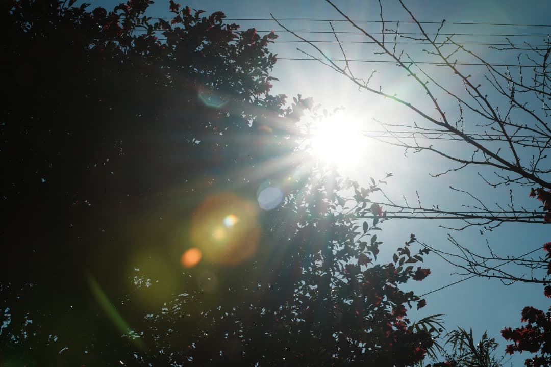 動作OK SONY 70-200mm F2.8G SAL70200G