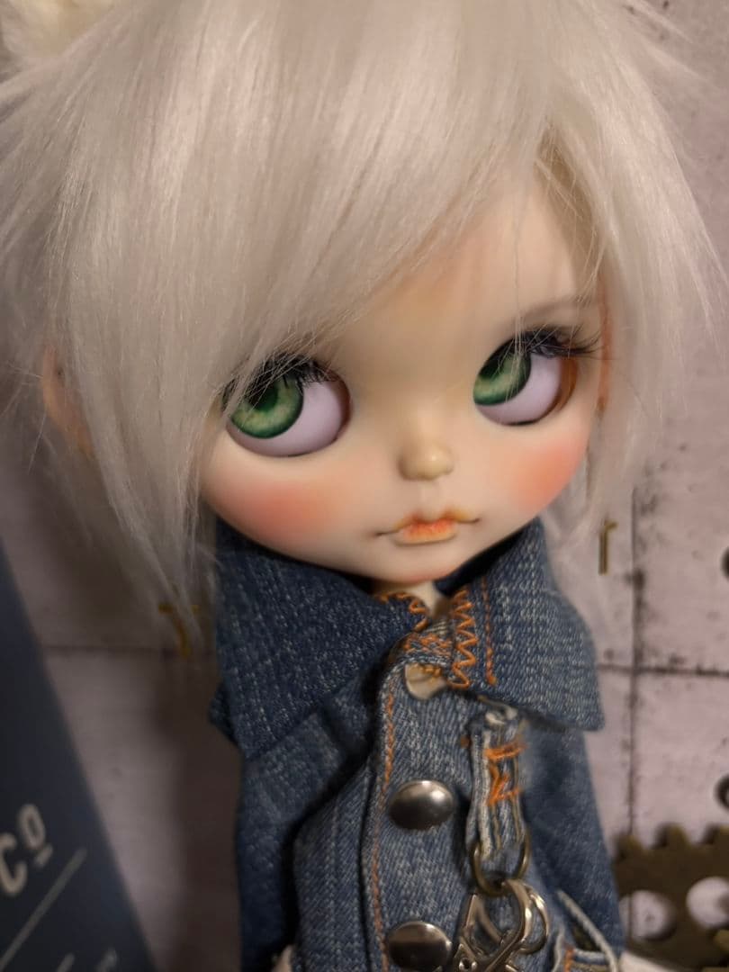 専用ꕤ.。アイシードールꕤ.。2体