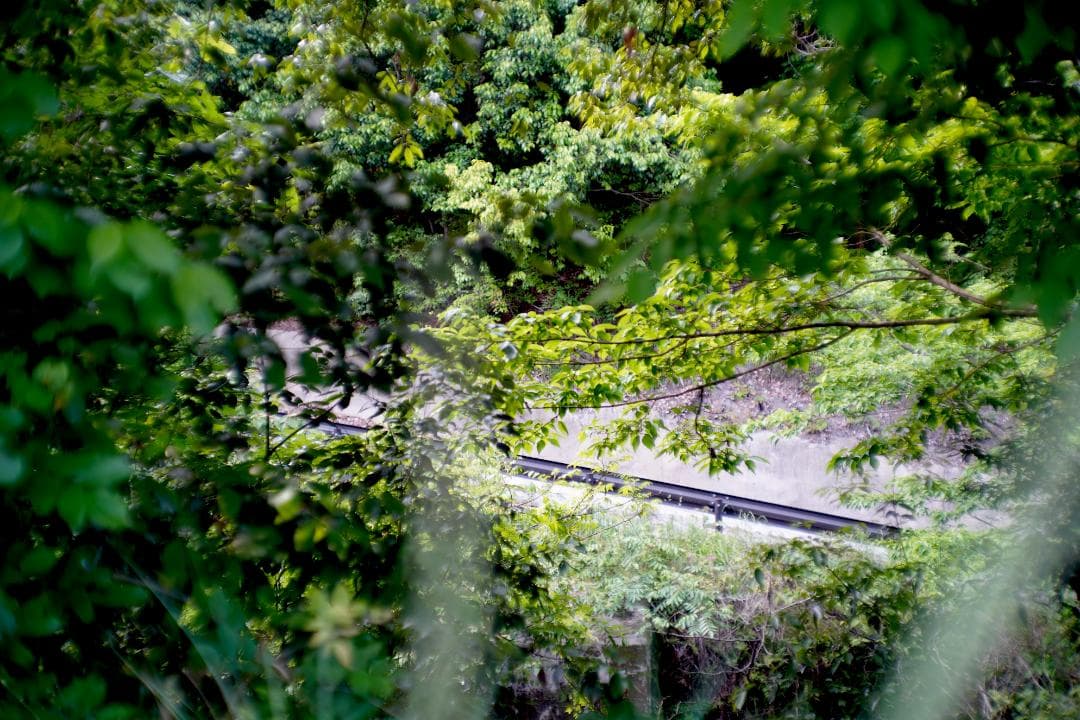 フィルムカメラ Nikon S2 / NIKKOR-S (.C) 50mm F1.4