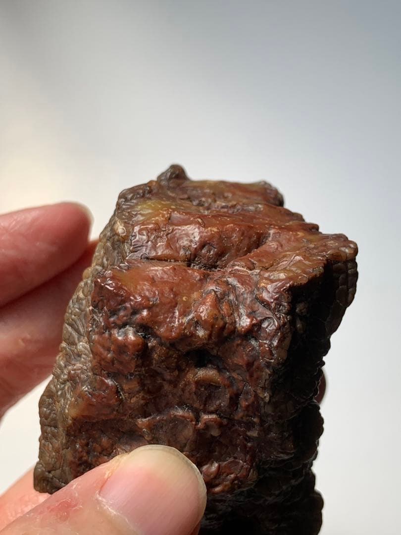 アラシャンゴビアゲート　蒙古瑪瑙　水石　翡翠　オパール　根付　天珠　化石　隕石