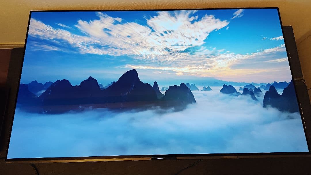 なな　中古品　SONY　有機ELテレビ　KJ-55A9G