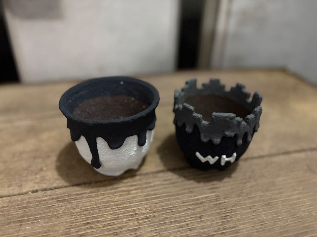 レフトボタニカル　タレ鉢　2個セット