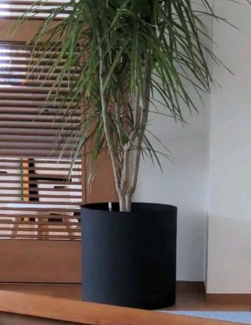 ACTUS（アクタス）YAMATEI　フェルムシリンダー　直径31cm