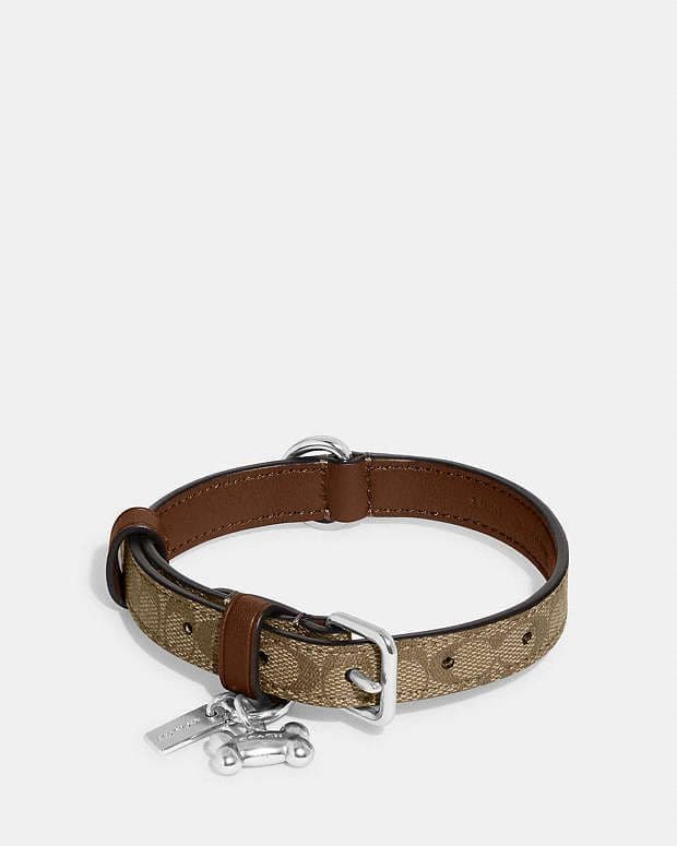 COACH　シグネチャーキャンバス　首輪とリード　犬
