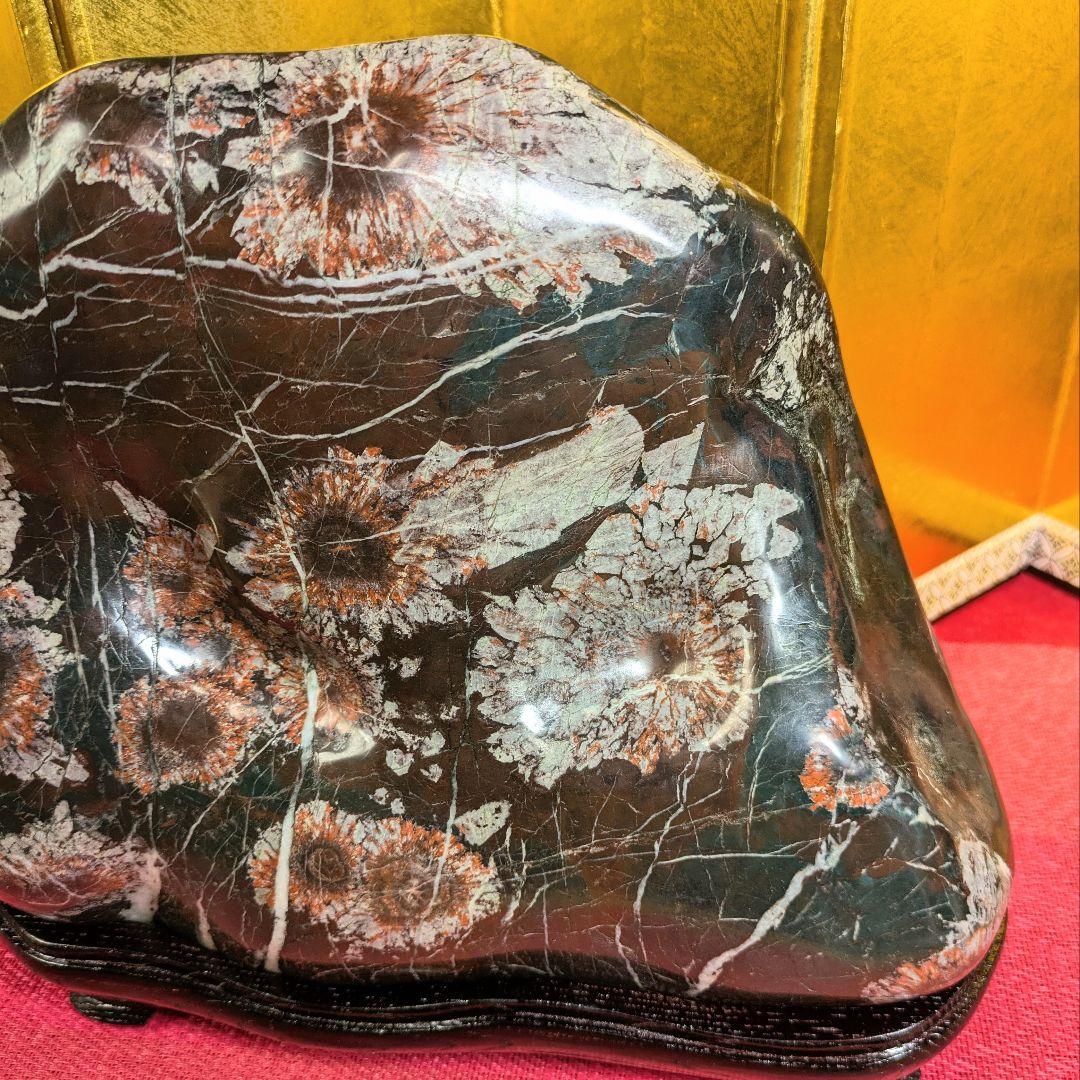 菊花石 岐阜県根尾谷産9.8㌔ 鑑賞石 観賞石 水石 盆石 天然石 置物