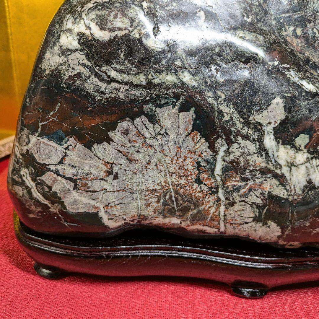 菊花石 岐阜県根尾谷産9.8㌔ 鑑賞石 観賞石 水石 盆石 天然石 置物