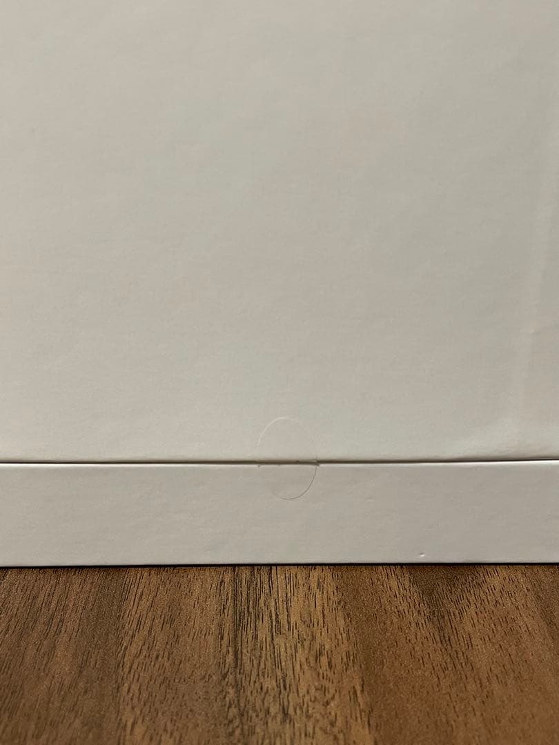 [未使用・未開封]サロニア ピュアブライト スチーマー SAL22207BE