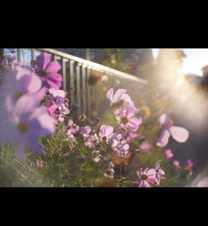 FUJIFILMミラーレス用　25mm F1.8 単焦点レンズ！サードパーティ