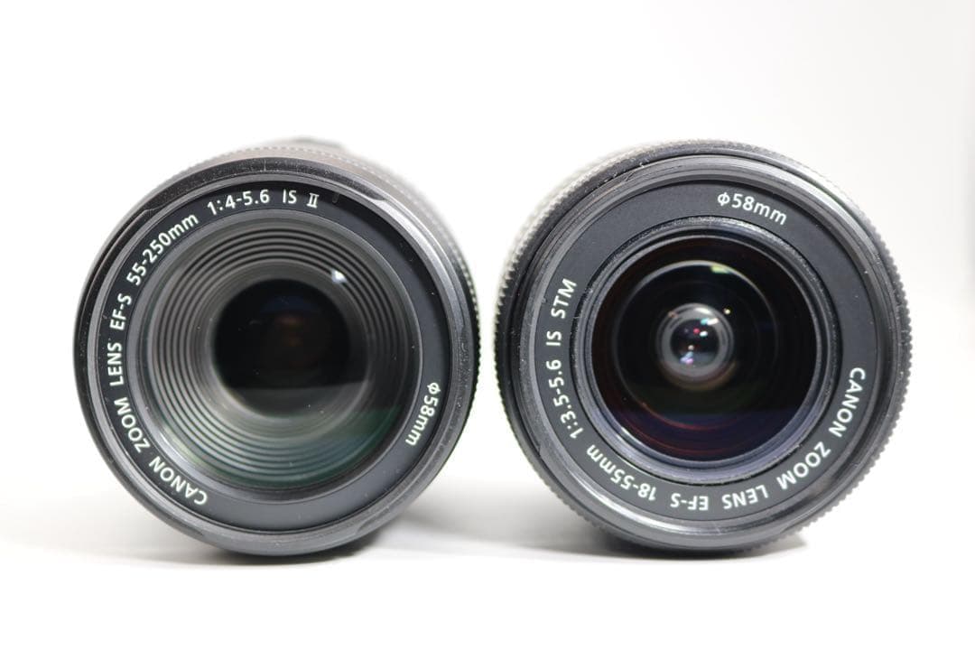 【Canon EOS 90D ダブルレンズセット】 Wi-Fi搭載 付属品多数