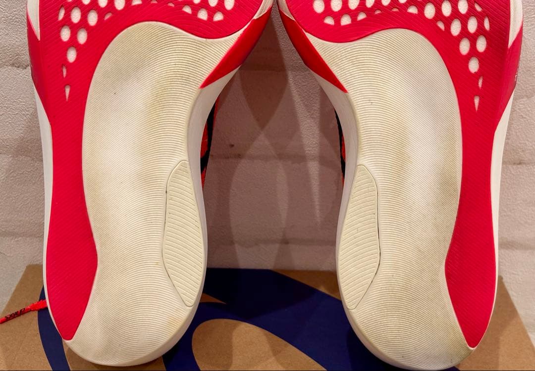 ASICS SPEED SKY TOKYO 27.0cm（中古美品）