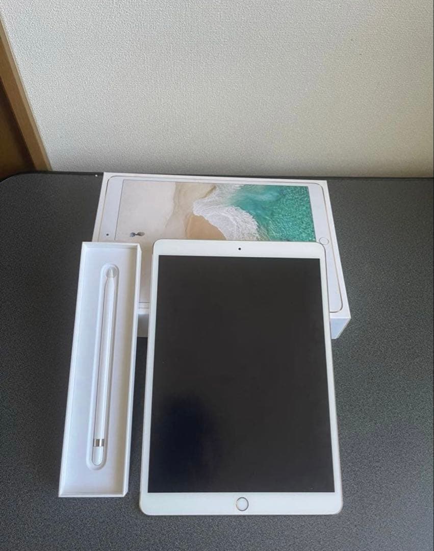 iPad本体 iPadPRO 512Gb+ Apple penci