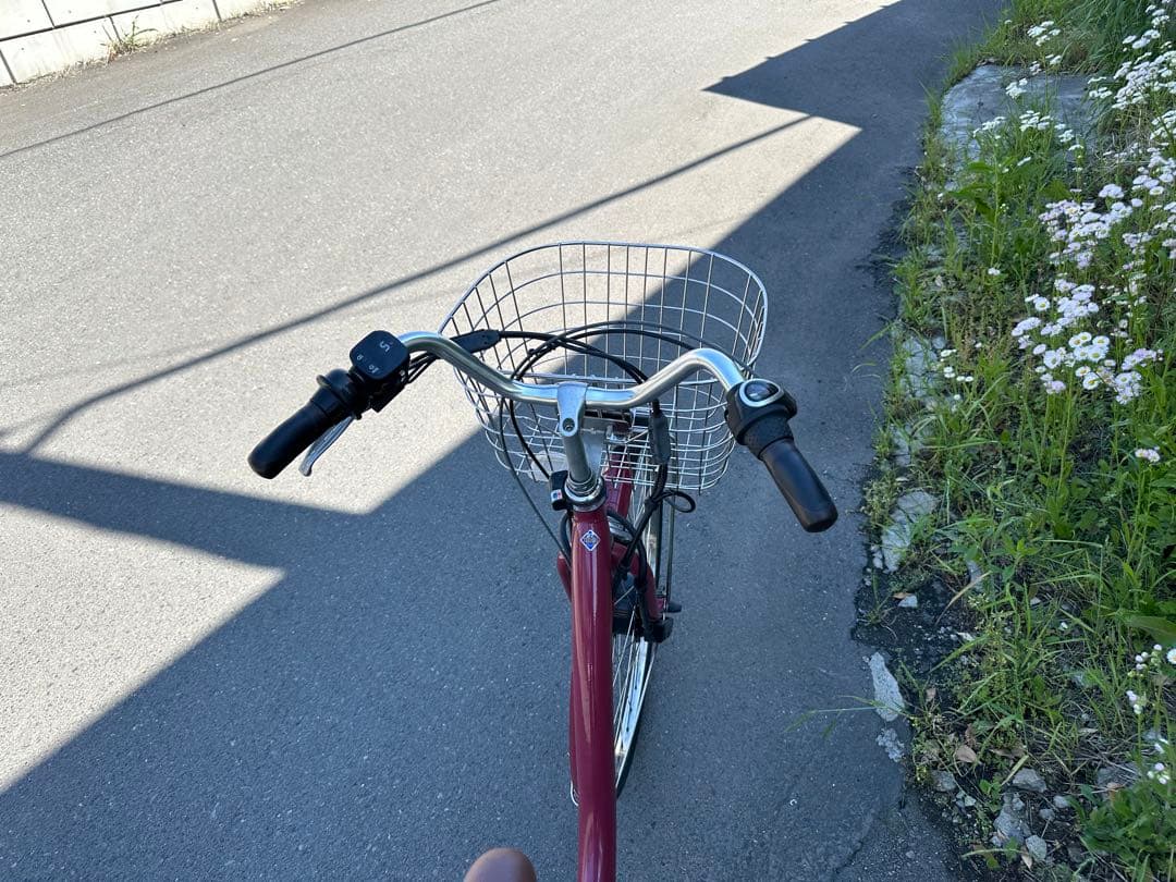 ブリヂストン電動アシスト自転車 7974(2020年製)