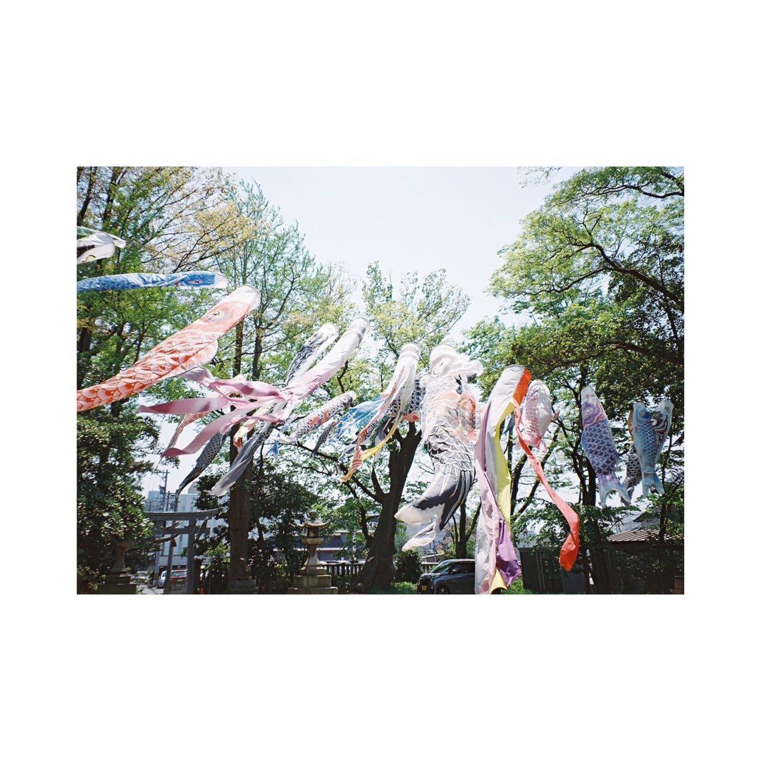 ⌘完動品！整備済み、電池付き！ Canon Autoboy AF35M⌘