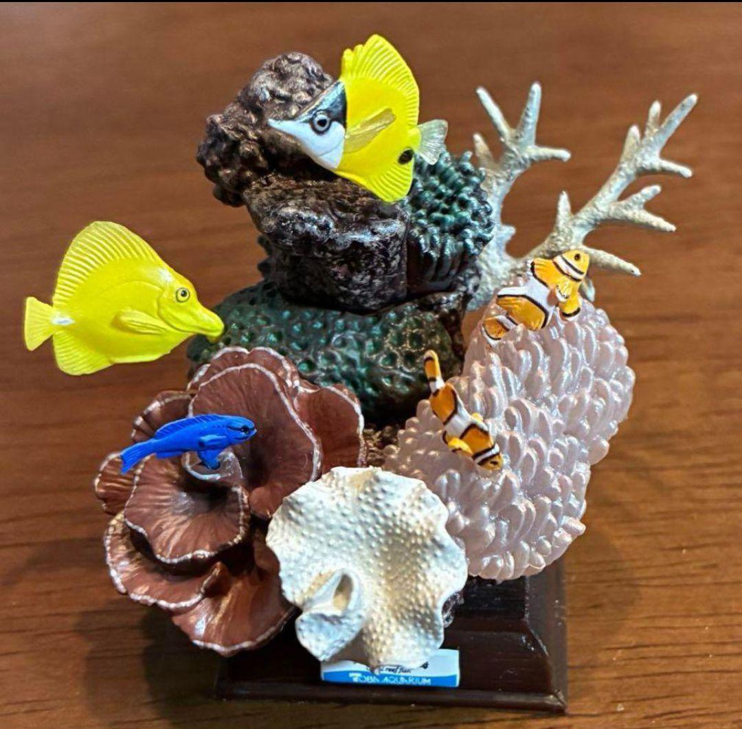 美品　ネイチャーテクニカラー　鳥羽水族館　サンゴ礁の海