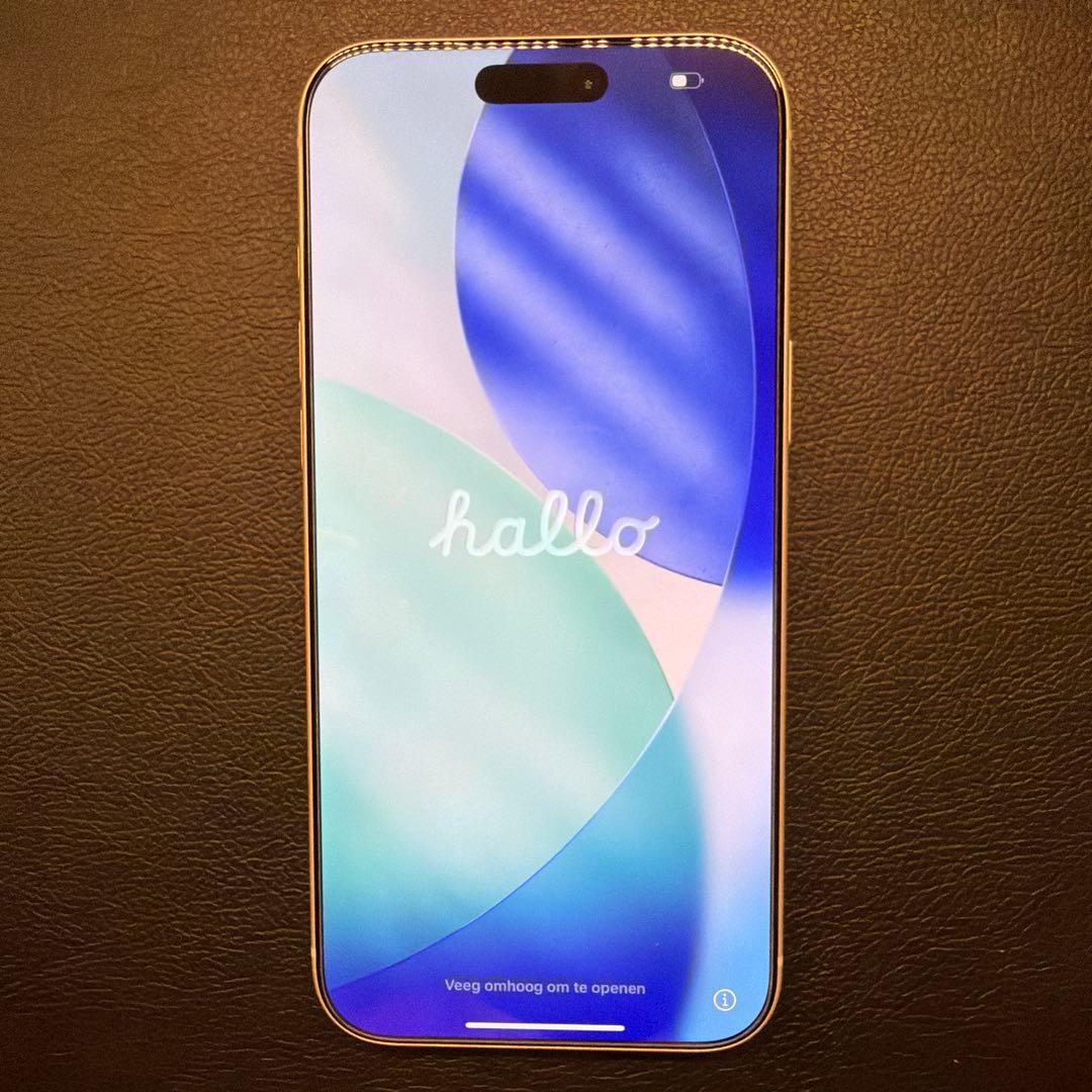 Apple iPhone 17 Pro Max 1TB シルバー SIMフリー