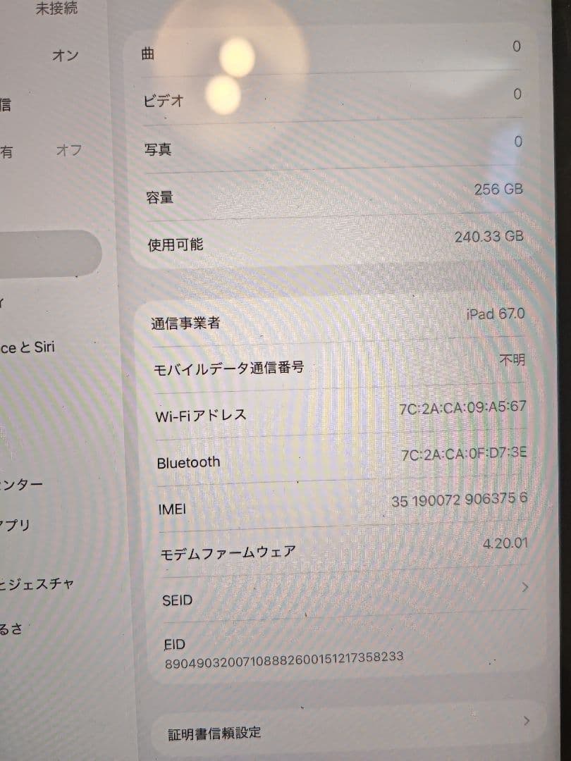 iPad Pro (11インチ) 第4世代 256GB cellular