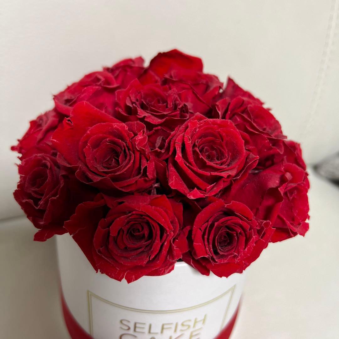 Selfish Cake タイプBスモールボックス