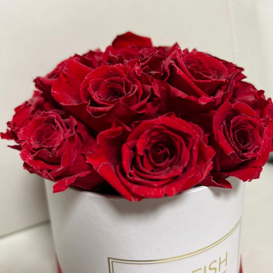 Selfish Cake タイプBスモールボックス