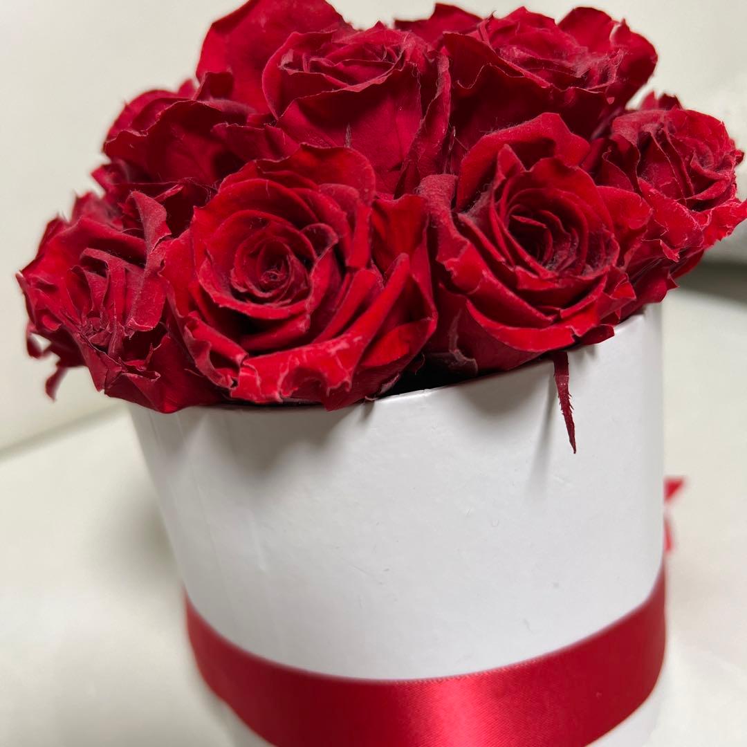 Selfish Cake タイプBスモールボックス