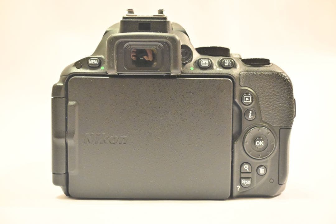 【ズーさん】【美品】　Nikon D5500 ダブルズームキット