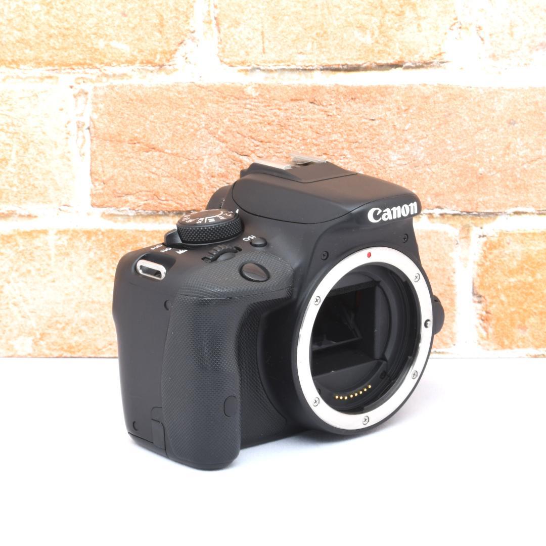 コスパ抜群の人気モデル✨Canon Kiss X7✨超望遠レンズ✨押し活