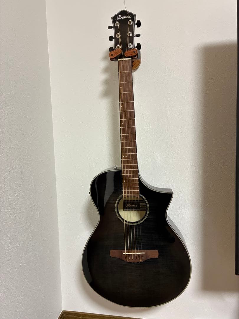 2023.03購入ほぼ未使用Ibanez エレアコブラックAEWC400-TKS