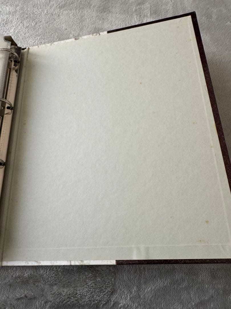 エヴァ カードダスマスターズ ファイル まとめ売り