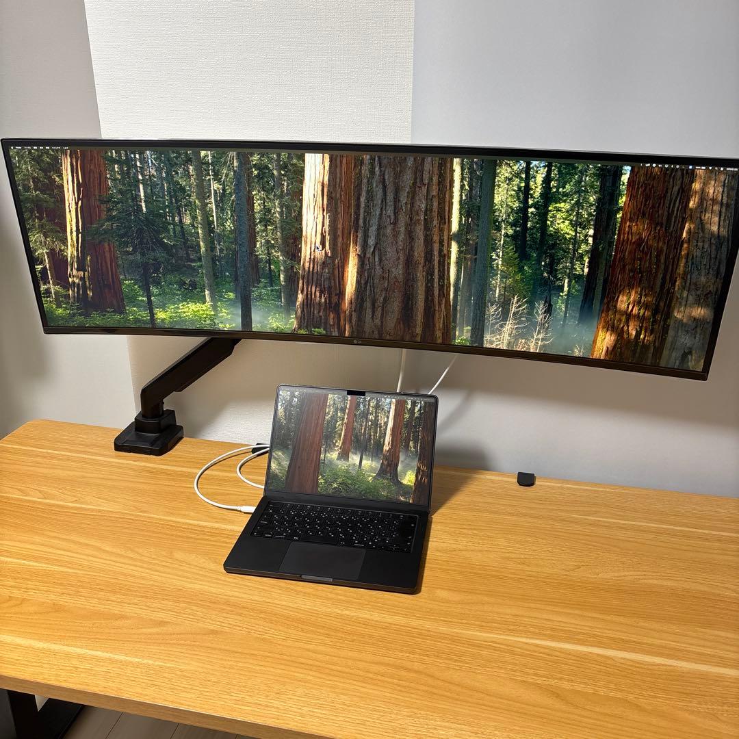 【最終値下】LG 49インチ ウルトラワイドモニター 49WQ95C-W