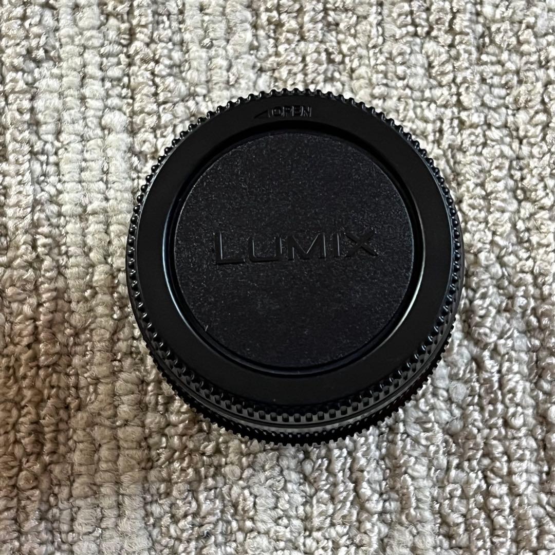 パナソニック H-X015 LEICA DS SUMMILUX 15mm