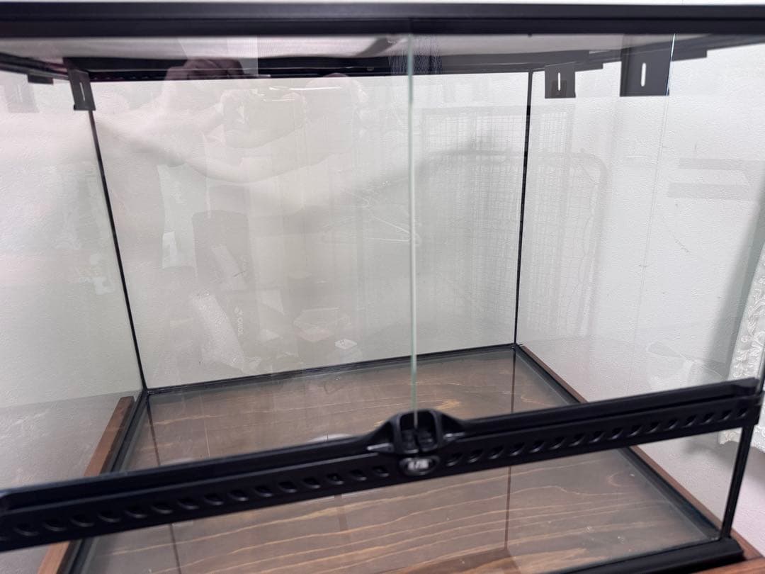 伶子　【引取り限定】GEX グラステラリウム 6045 専用台（自作）付き