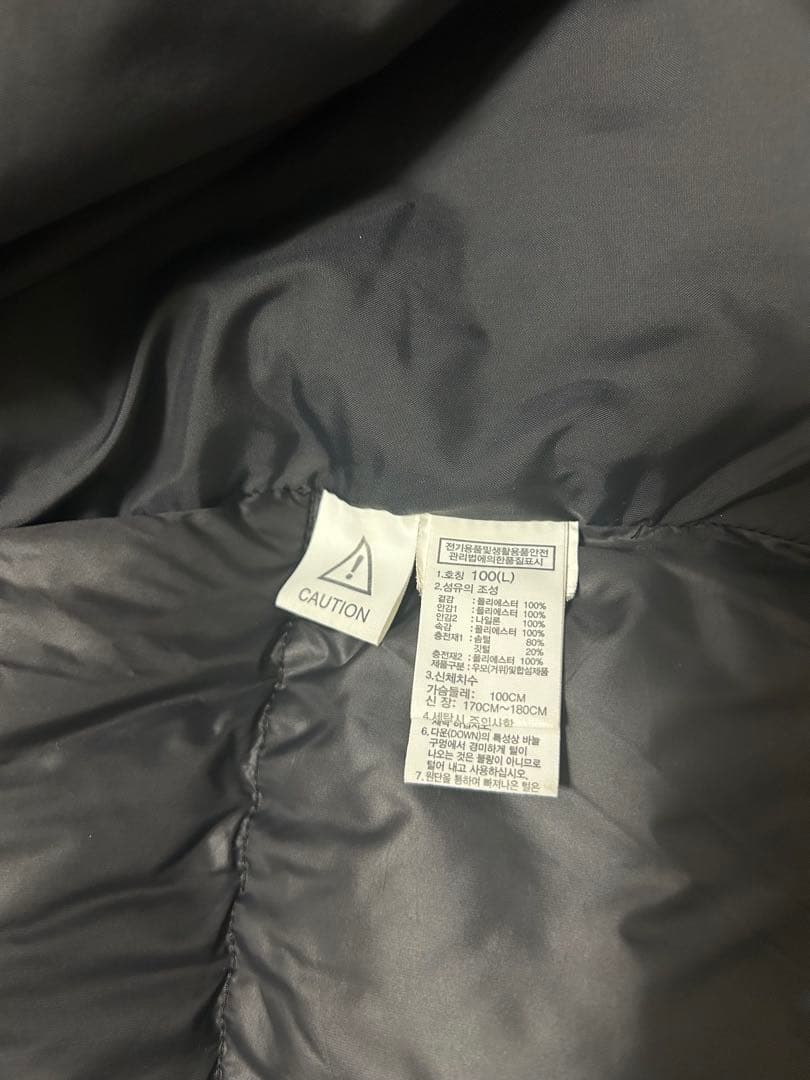 希少ノースフェイス　フリームーブダウンジャケット ブラック　Lサイズ