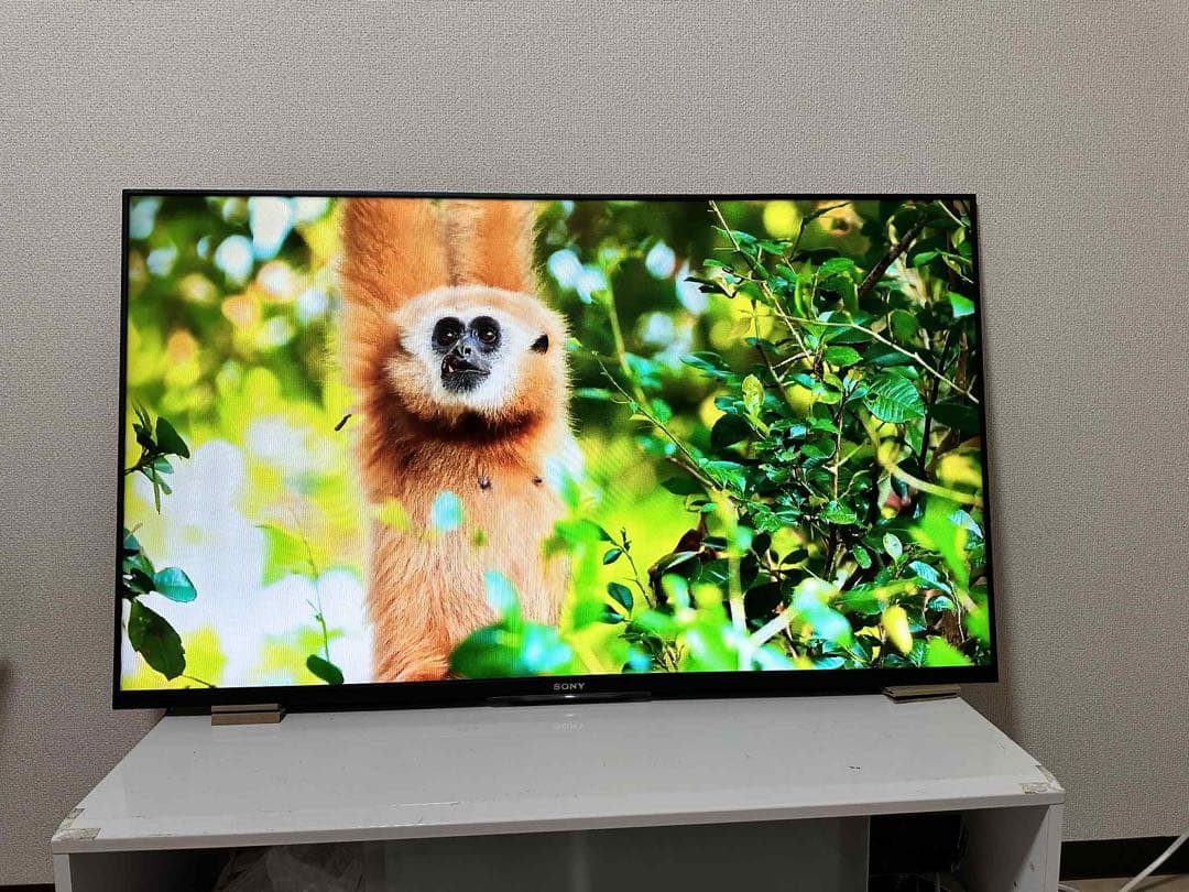 美品！SONY 液晶テレビ KDL 50W 800B 壁掛け用、スタンド無し